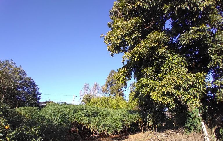 Ampla área no centro – ESQUINA