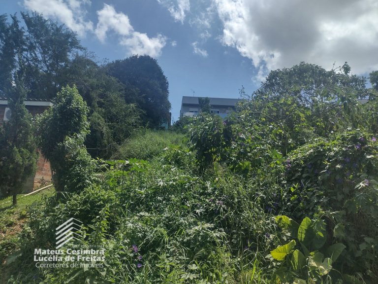 Amplo terreno – Rua General Osório
