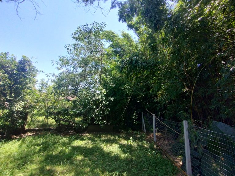 Terreno com casa mista – Bairro Praia