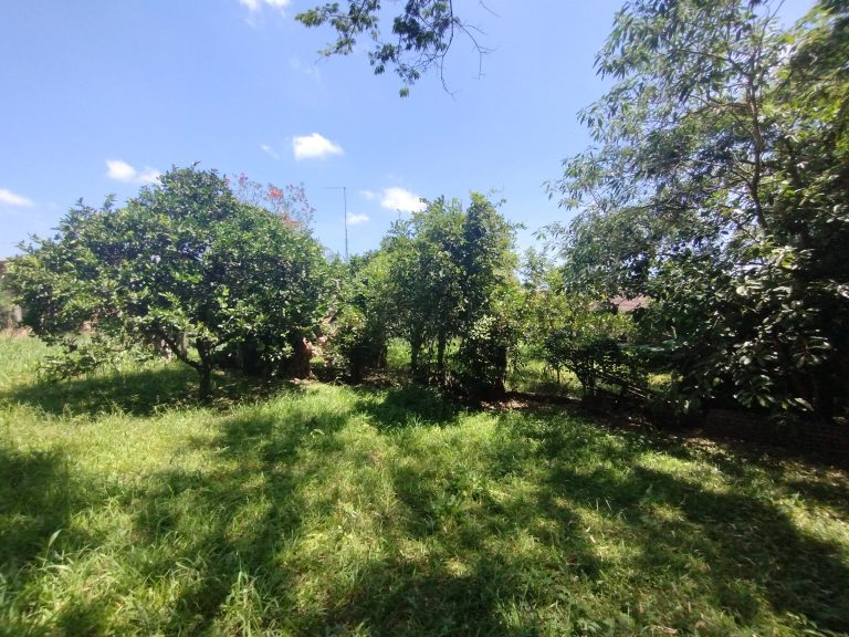 Terreno com casa mista – Bairro Praia