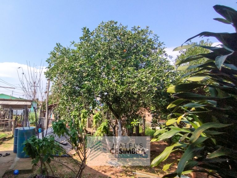 AMPLA CASA – COLÔNIA VINTE