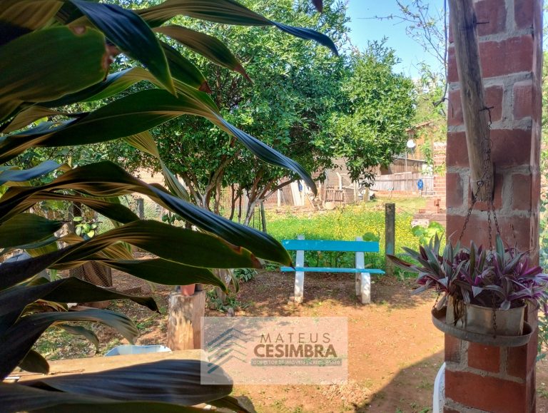 AMPLA CASA – COLÔNIA VINTE