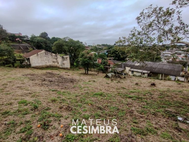 TERRENÃO NA OLARIA
