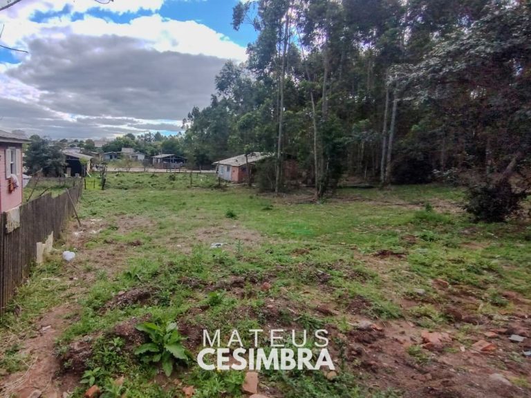 TERRENO NO RINCÃO SÃO JOSÉ