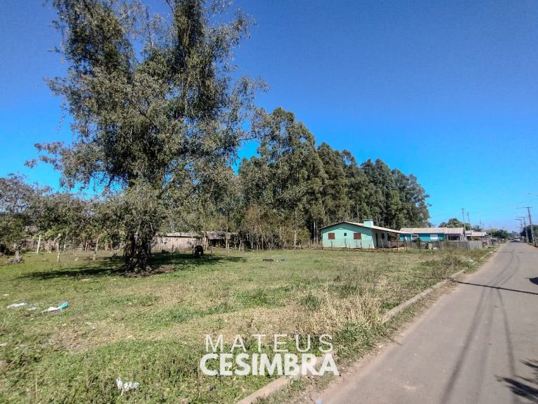 TERRENOS NO RINCÃO