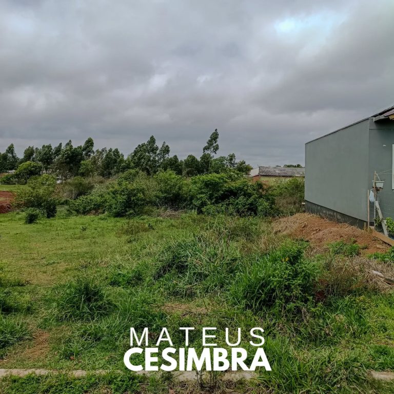 TERRENO NA COLÔNIA VINTE