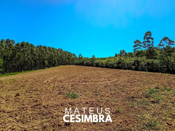 ÁREA DE TERRAS NA BR 386 EM TABAI