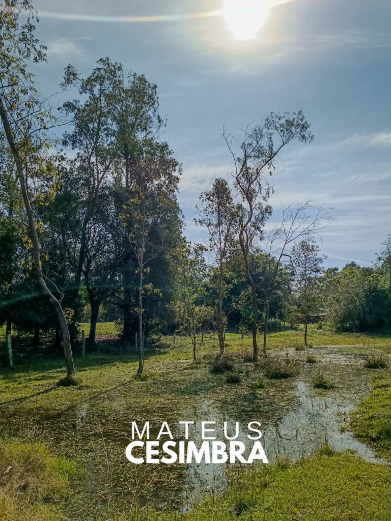CHÁCARA NO RINCÃO SÃO JOSÉ