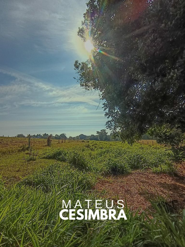 CHÁCARA NO RINCÃO SÃO JOSÉ