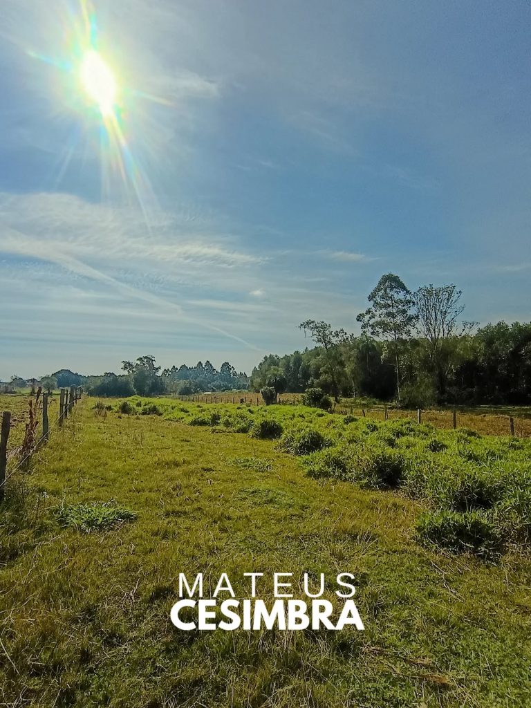 CHÁCARA NO RINCÃO SÃO JOSÉ