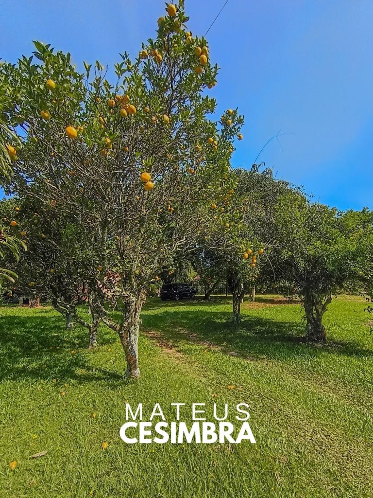 CHÁCARA NO RINCÃO SÃO JOSÉ