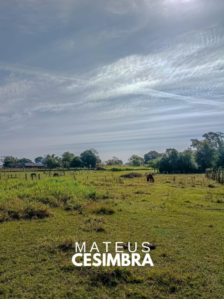 CHÁCARA NO RINCÃO SÃO JOSÉ