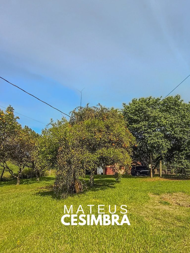 CHÁCARA NO RINCÃO SÃO JOSÉ
