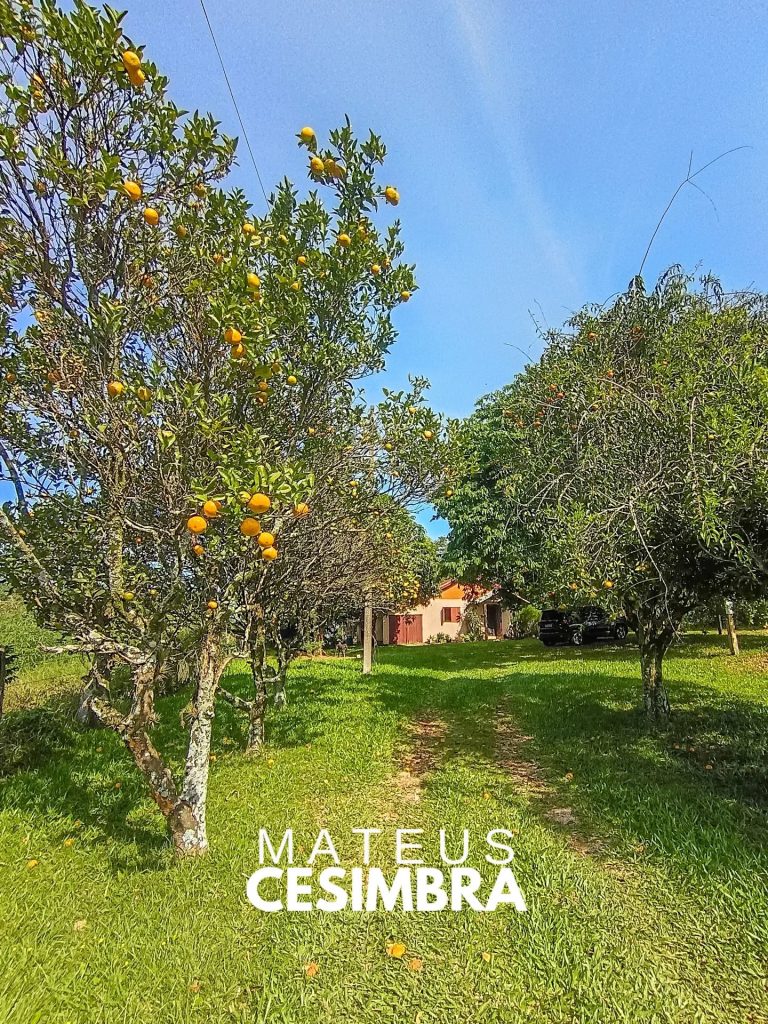 CHÁCARA NO RINCÃO SÃO JOSÉ
