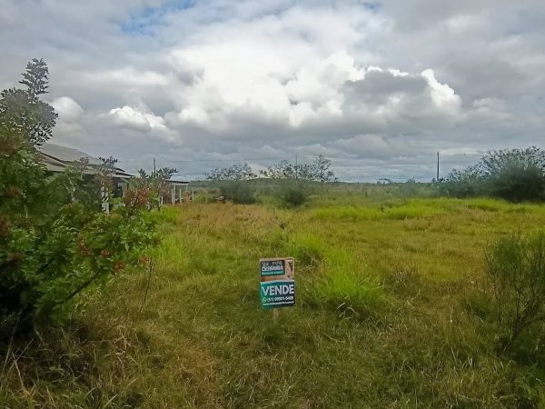 TERRENO NO PRADO