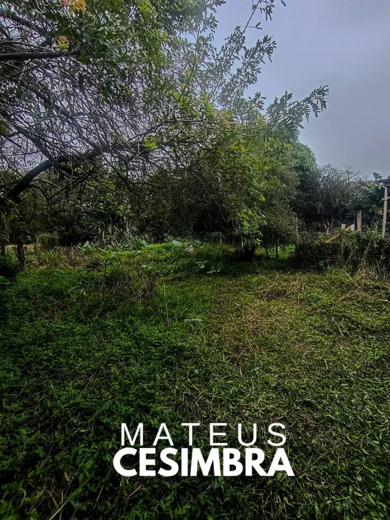 TERRENO NA BOA VISTA 2