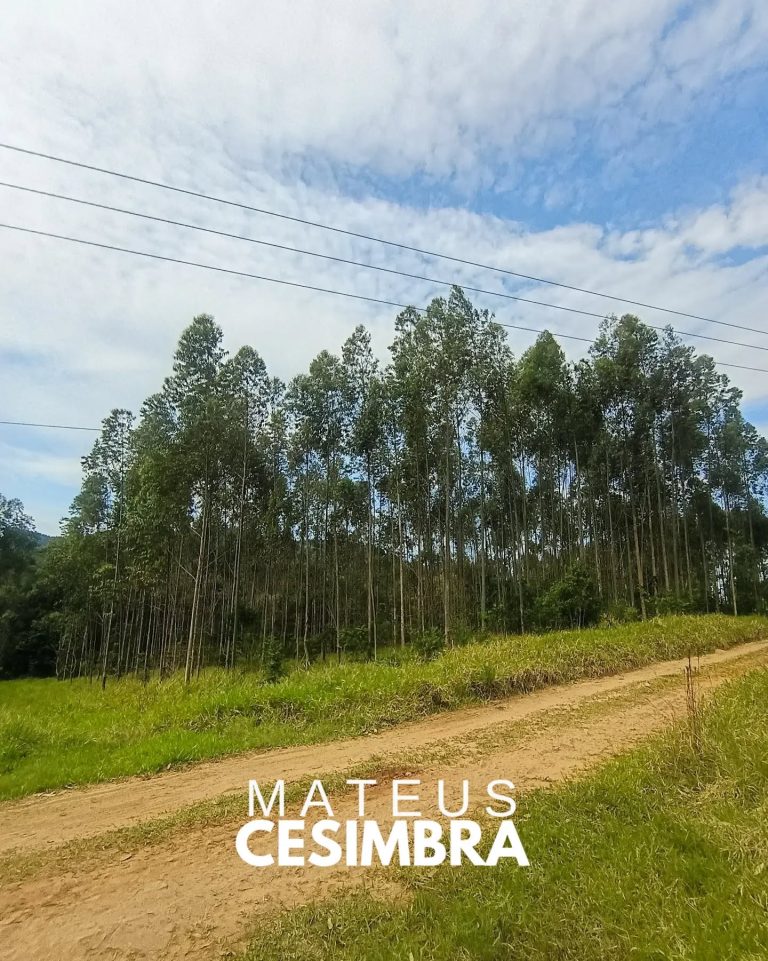 ÁREA À VENDA EM TABAÍ/RS NA BR-386