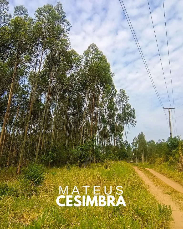ÁREA À VENDA EM TABAÍ/RS NA BR-386