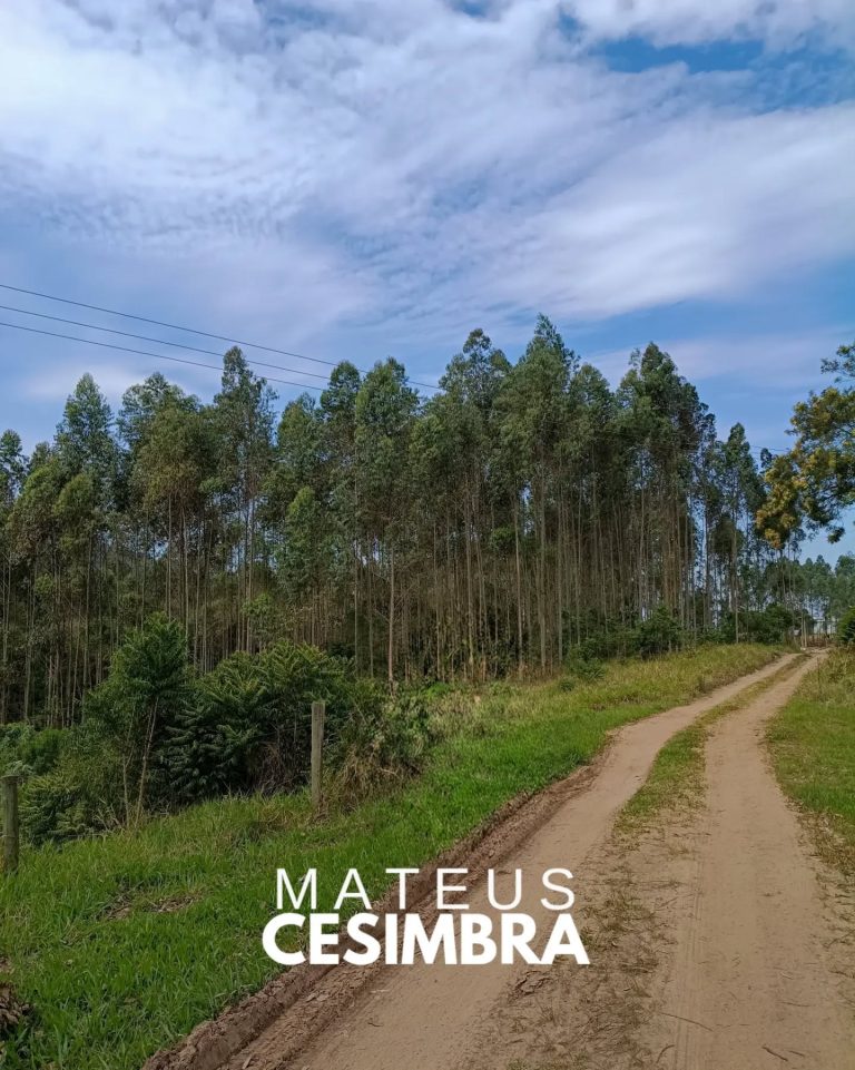 ÁREA À VENDA EM TABAÍ/RS NA BR-386