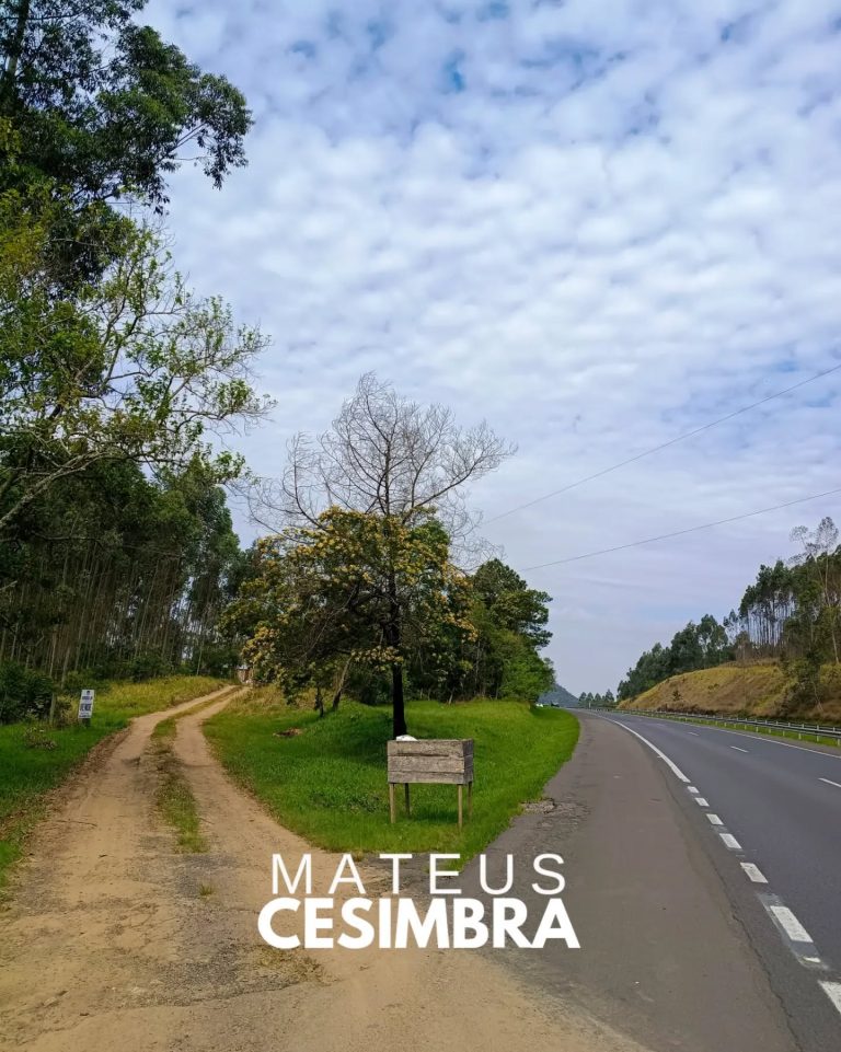 ÁREA À VENDA EM TABAÍ/RS NA BR-386