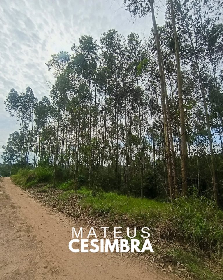 ÁREA À VENDA EM TABAÍ/RS NA BR-386