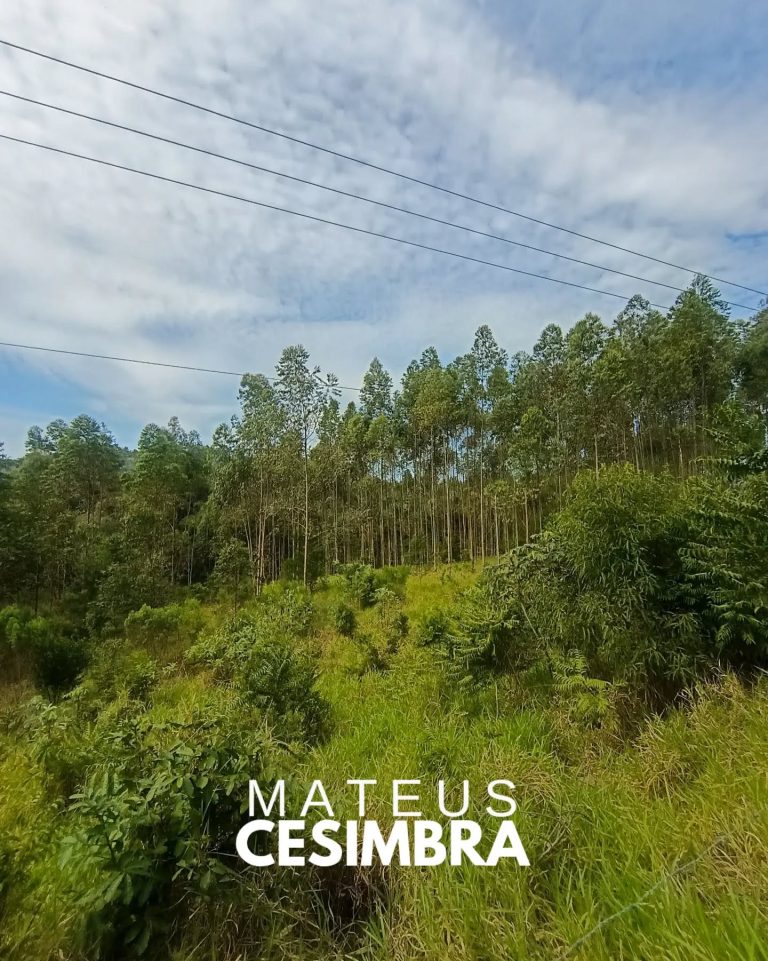 ÁREA À VENDA EM TABAÍ/RS NA BR-386