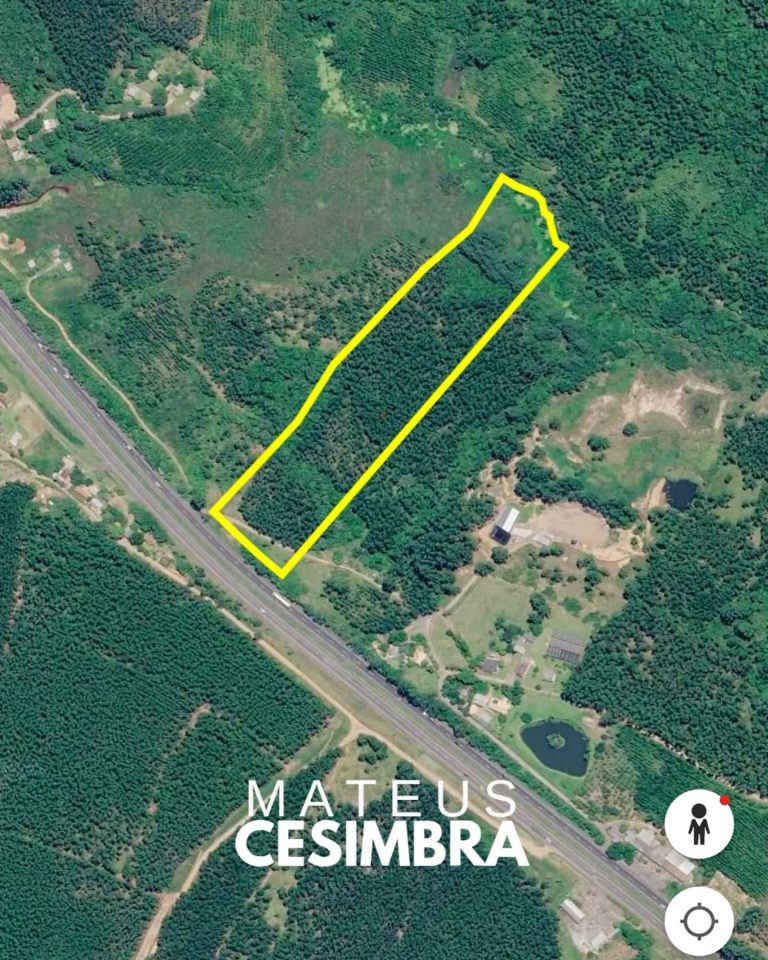 ÁREA À VENDA EM TABAÍ/RS NA BR-386