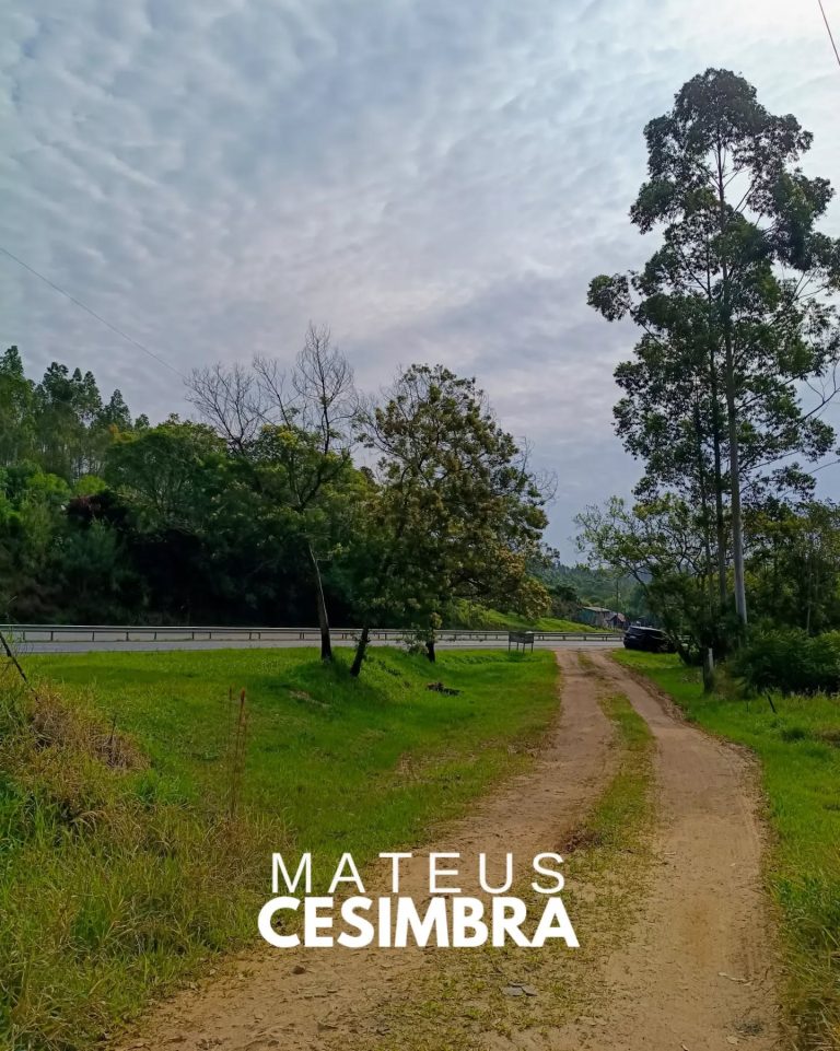 ÁREA À VENDA EM TABAÍ/RS NA BR-386