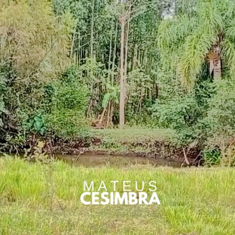CHÁCARA EM PAVERAMA